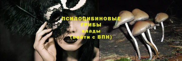 не бодяженный Надым