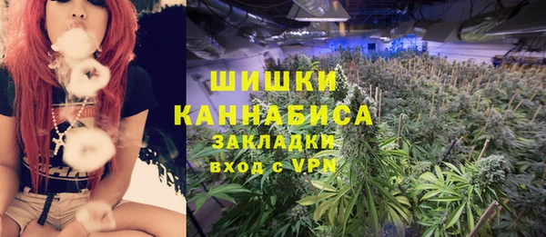 не бодяженный Надым