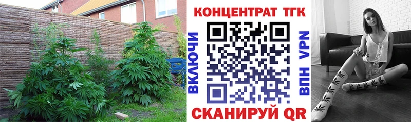 ссылка на мегу онион  Дубовка  Дистиллят ТГК вейп с тгк  где продают  